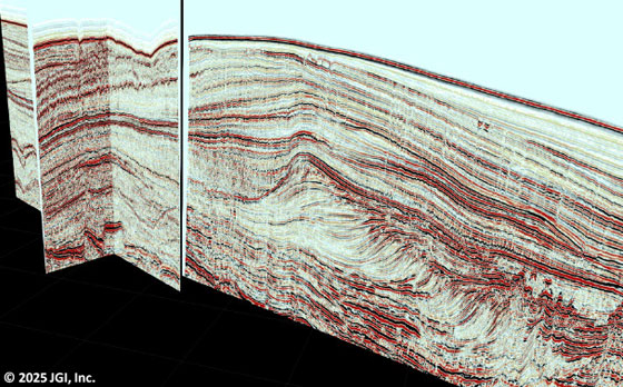 Schematic of seismic reflection data acquisition (onshore 2D)