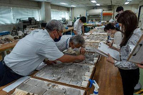 Training Services General Geology Basics Course