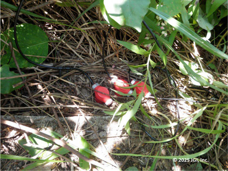 - Geophone (Spike Planted in Soil)

