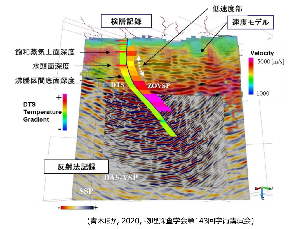 DAS-VSP 調査データ概要